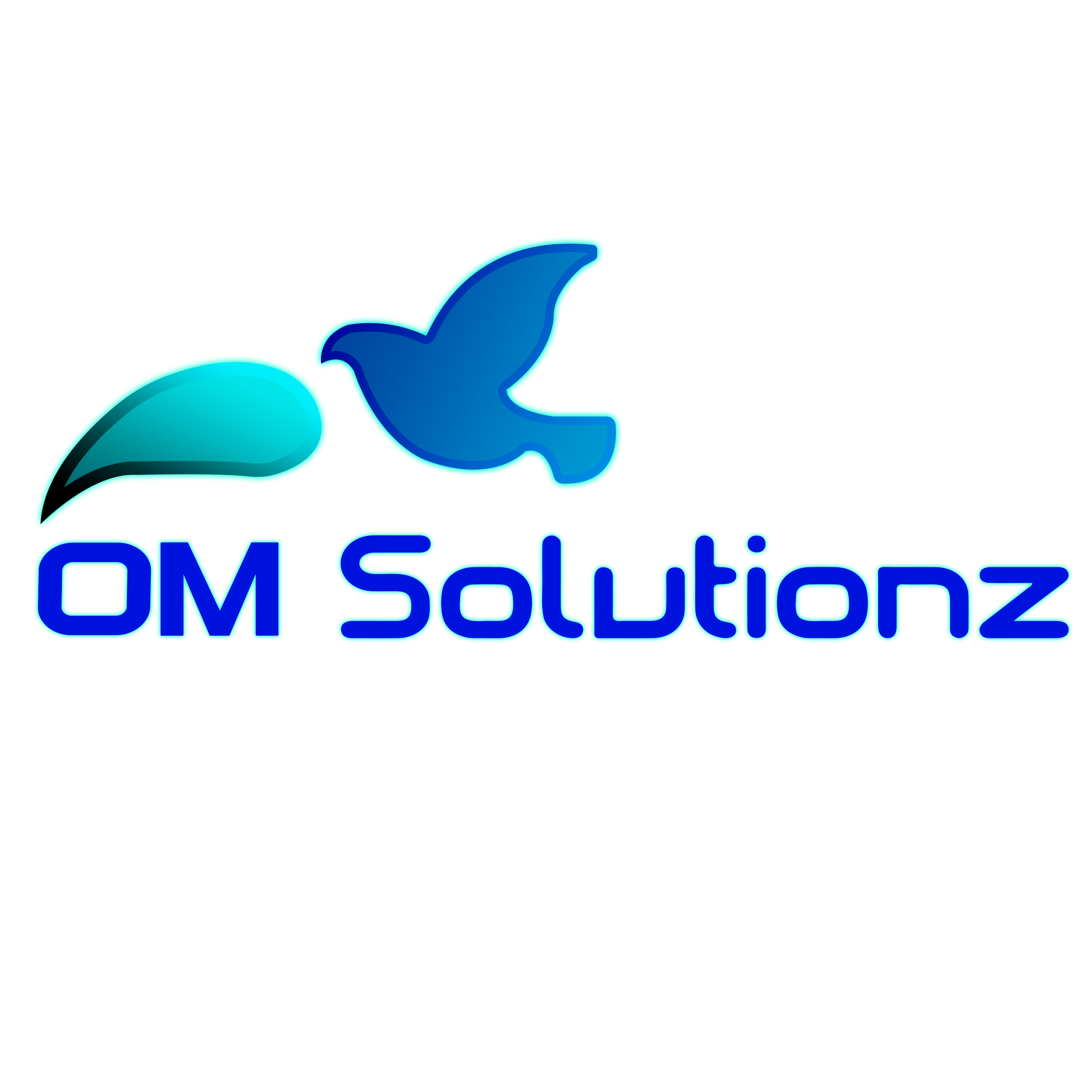 Om Solutionz Pvt Ltd